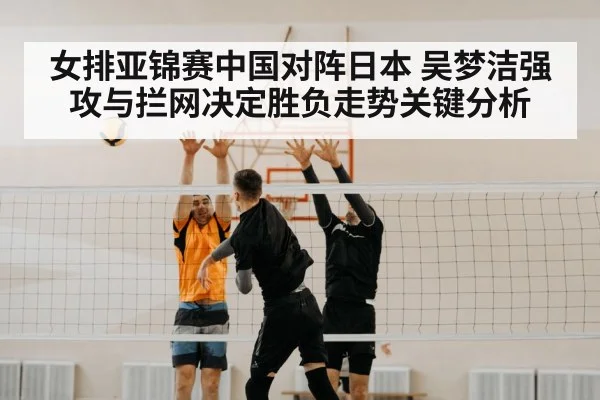 volleyball block net